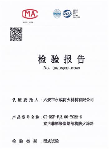 型式(shi)實驗(yan)報告(gao)